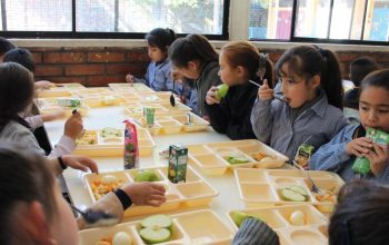 comedor escolar